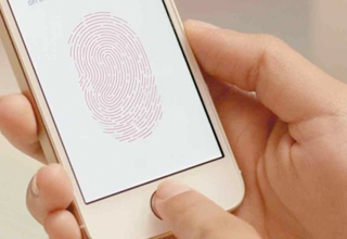 Fingerprint recognition